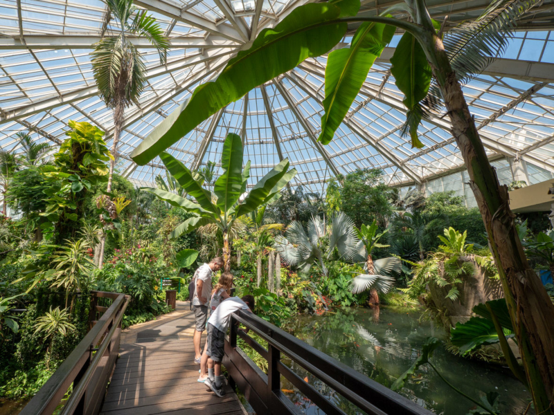 https://mdw-travel-data-us-east-1.s3.amazonaws.com/img/country/France/Parc-Phoenix/img_01.jpg