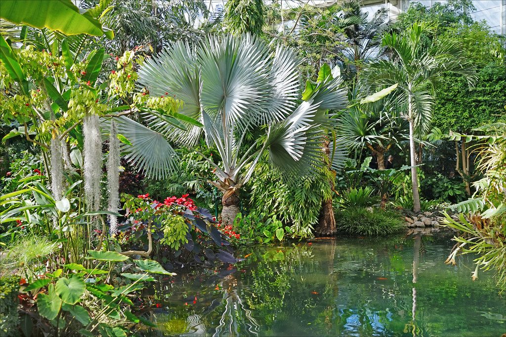 https://mdw-travel-data-us-east-1.s3.amazonaws.com/img/country/France/Parc-Phoenix/img_04.jpg