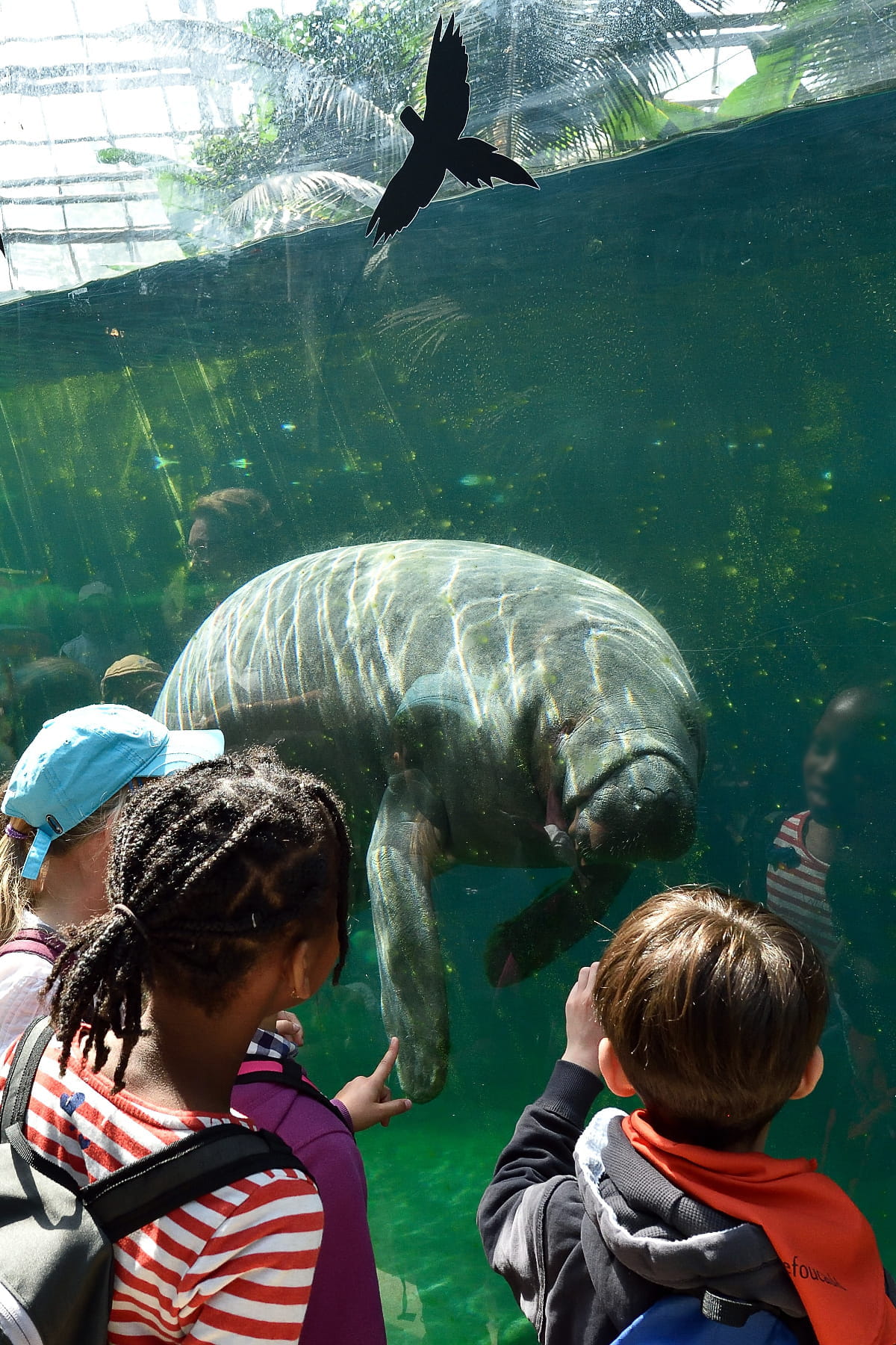 https://mdw-travel-data-us-east-1.s3.amazonaws.com/img/country/France/Parc-zoologique-de-Frejus/img_01.jpg