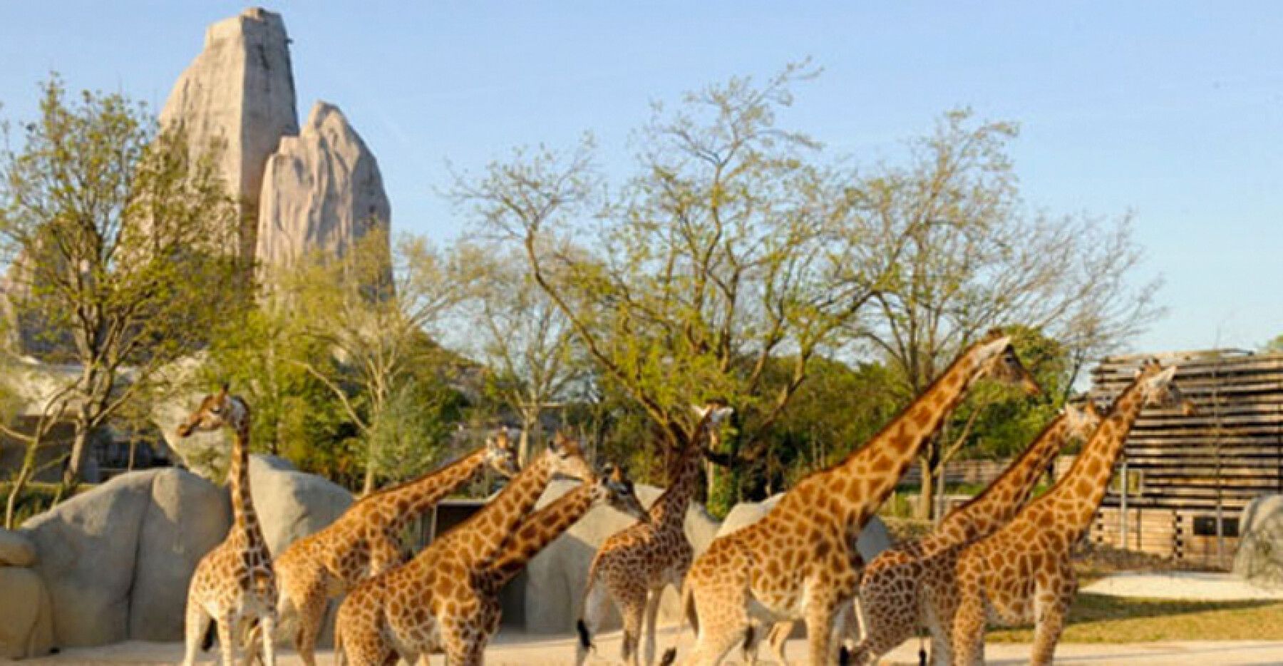 https://mdw-travel-data-us-east-1.s3.amazonaws.com/img/country/France/Parc-zoologique-de-Frejus/img_02.jpg