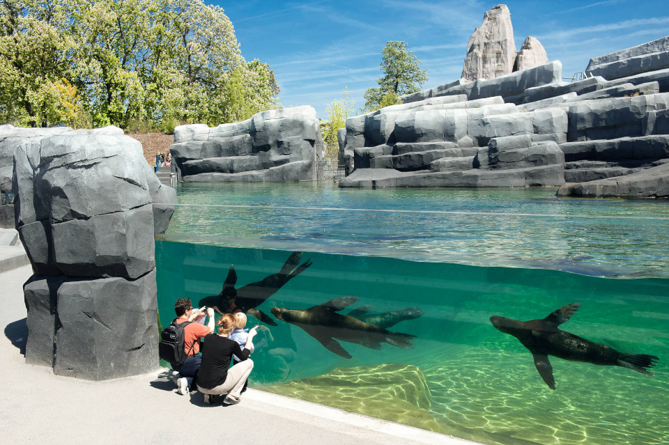 https://mdw-travel-data-us-east-1.s3.amazonaws.com/img/country/France/Parc-zoologique-de-Frejus/img_03.jpg