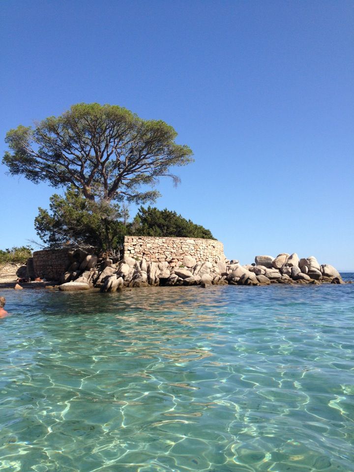https://mdw-travel-data-us-east-1.s3.amazonaws.com/img/country/France/Plage-de-Palombaggia/img_03.jpg