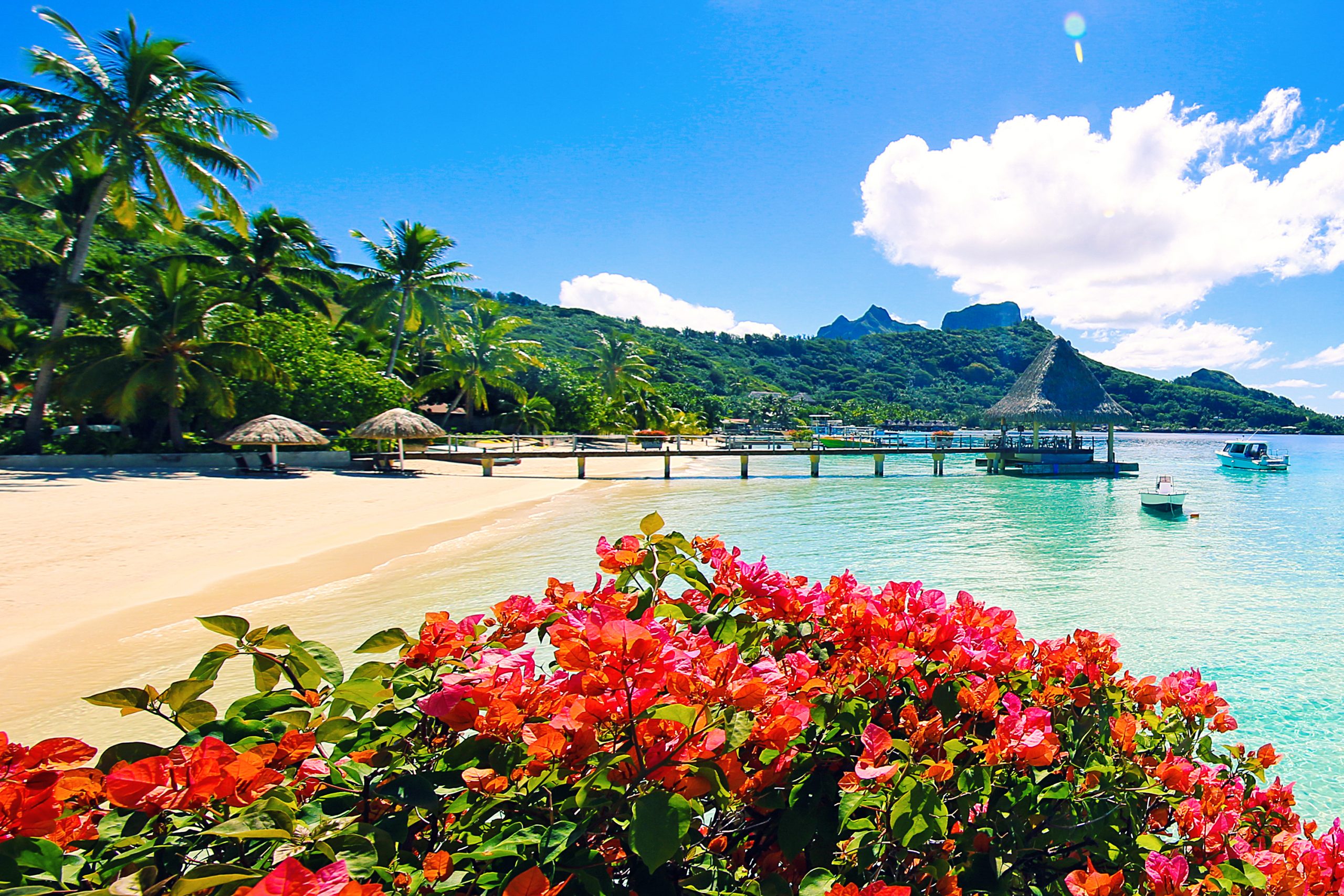 https://mdw-travel-data-us-east-1.s3.amazonaws.com/img/country/France/Plage-de-Tahiti/img_00.jpg