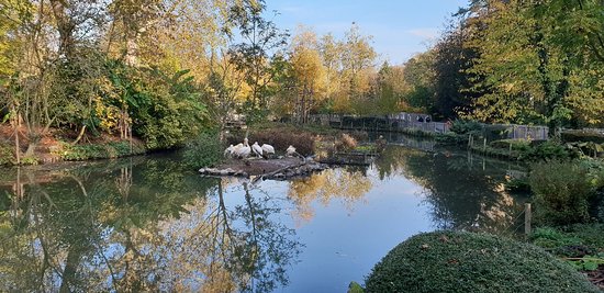 https://mdw-travel-data-us-east-1.s3.amazonaws.com/img/country/France/Zoo-de-La-Citadelle-Lille/img_01.jpg
