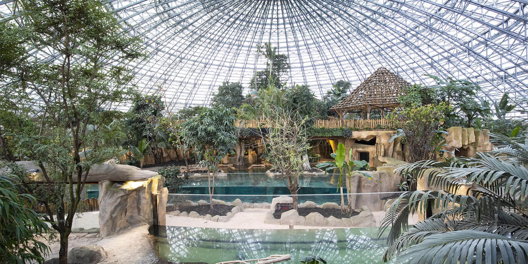 https://mdw-travel-data-us-east-1.s3.amazonaws.com/img/country/France/ZooParc-de-Beauval/img_03.jpg
