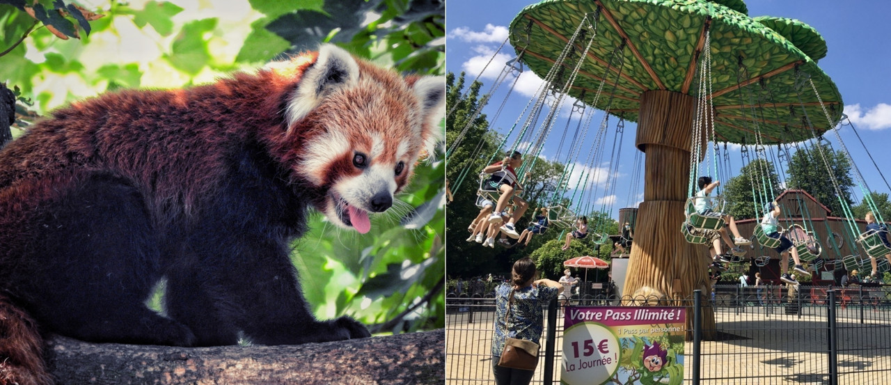 https://mdw-travel-data-us-east-1.s3.amazonaws.com/img/country/France/ZooParc-de-Lille/img_00.jpg