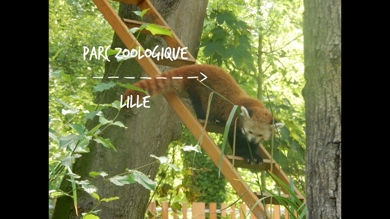 https://mdw-travel-data-us-east-1.s3.amazonaws.com/img/country/France/ZooParc-de-Lille/img_03.jpg