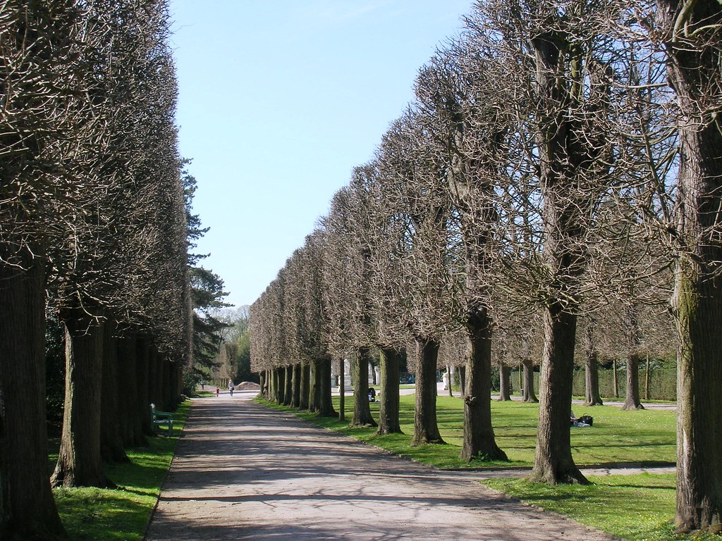 https://mdw-travel-data-us-east-1.s3.amazonaws.com/img/country/Germany/Benrather-Schlosspark/img_01.jpg