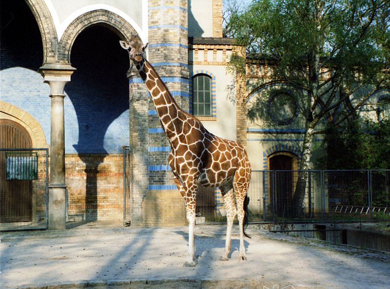 https://mdw-travel-data-us-east-1.s3.amazonaws.com/img/country/Germany/Berlin-Zoological-Garden/img_02.jpg