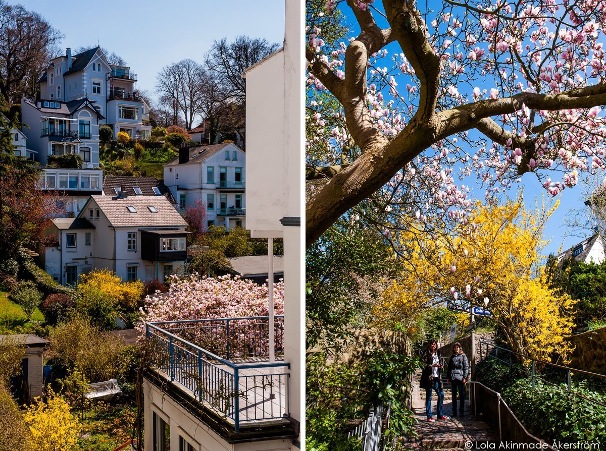 https://mdw-travel-data-us-east-1.s3.amazonaws.com/img/country/Germany/Blankenese/img_03.jpg