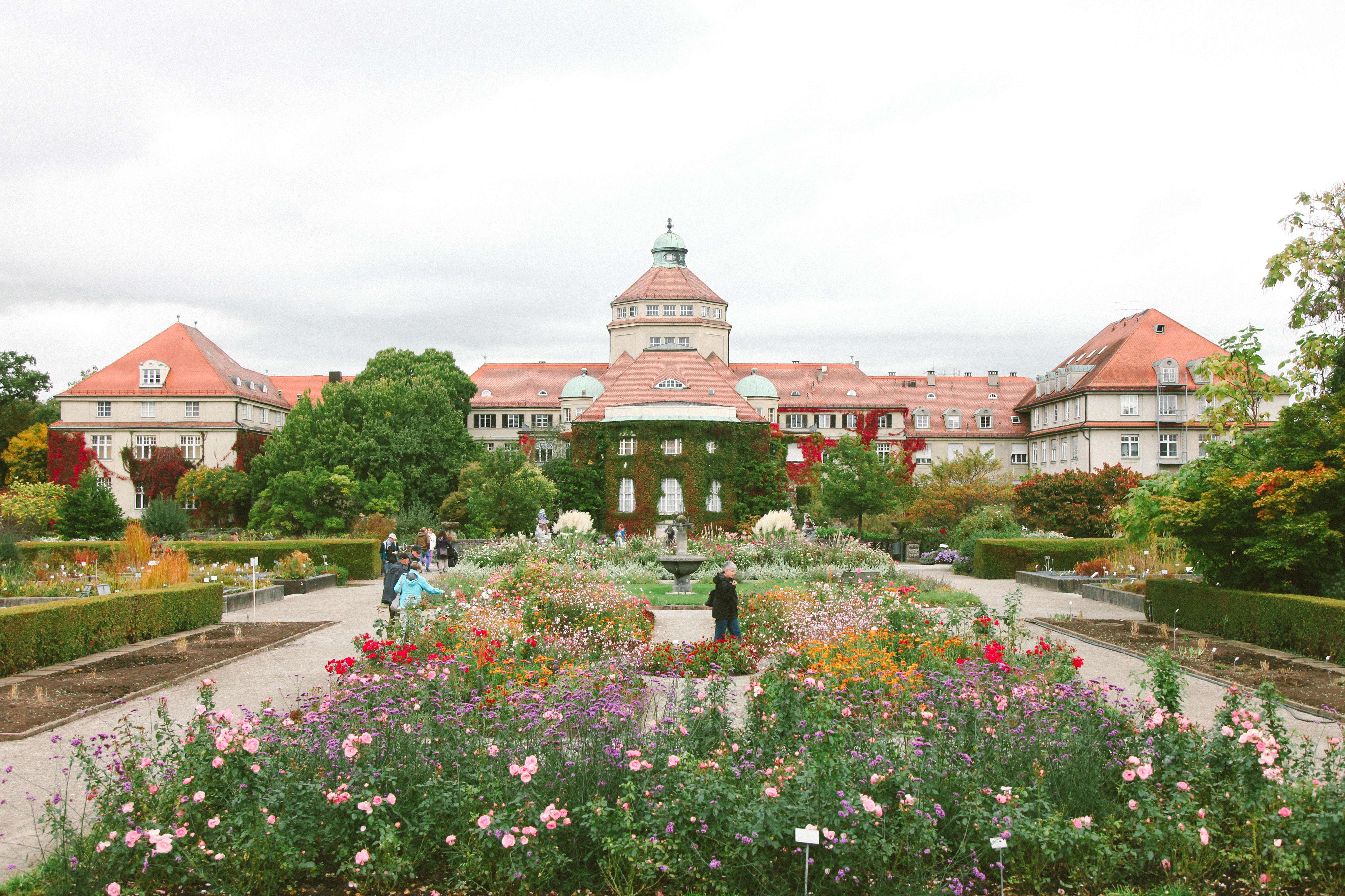 https://mdw-travel-data-us-east-1.s3.amazonaws.com/img/country/Germany/Botanical-Garden-Botanischer-Garten/img_02.jpg