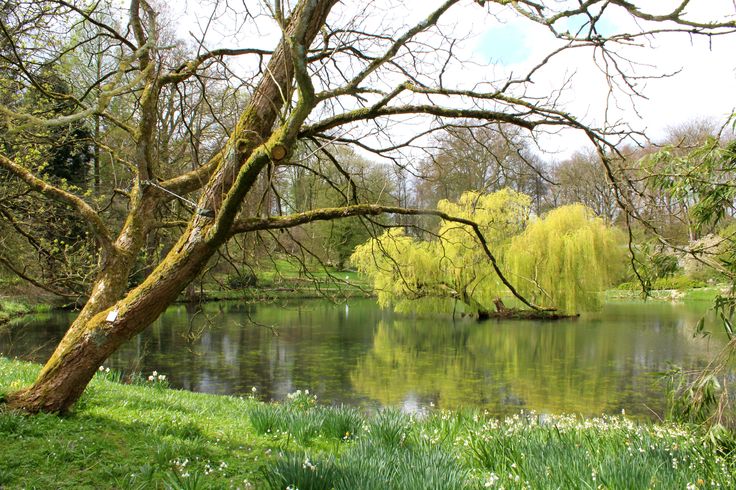 https://mdw-travel-data-us-east-1.s3.amazonaws.com/img/country/Germany/Botanical-Garden-Munster/img_02.jpg