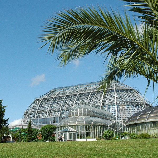 https://mdw-travel-data-us-east-1.s3.amazonaws.com/img/country/Germany/Botanical-Garden-and-Botanical-Museum-Berlin/img_02.jpg