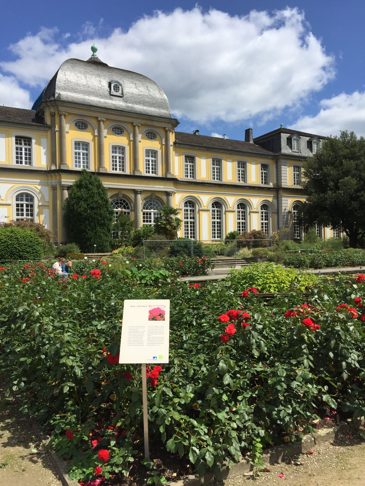 https://mdw-travel-data-us-east-1.s3.amazonaws.com/img/country/Germany/Botanical-Gardens-Bonn/img_02.jpg