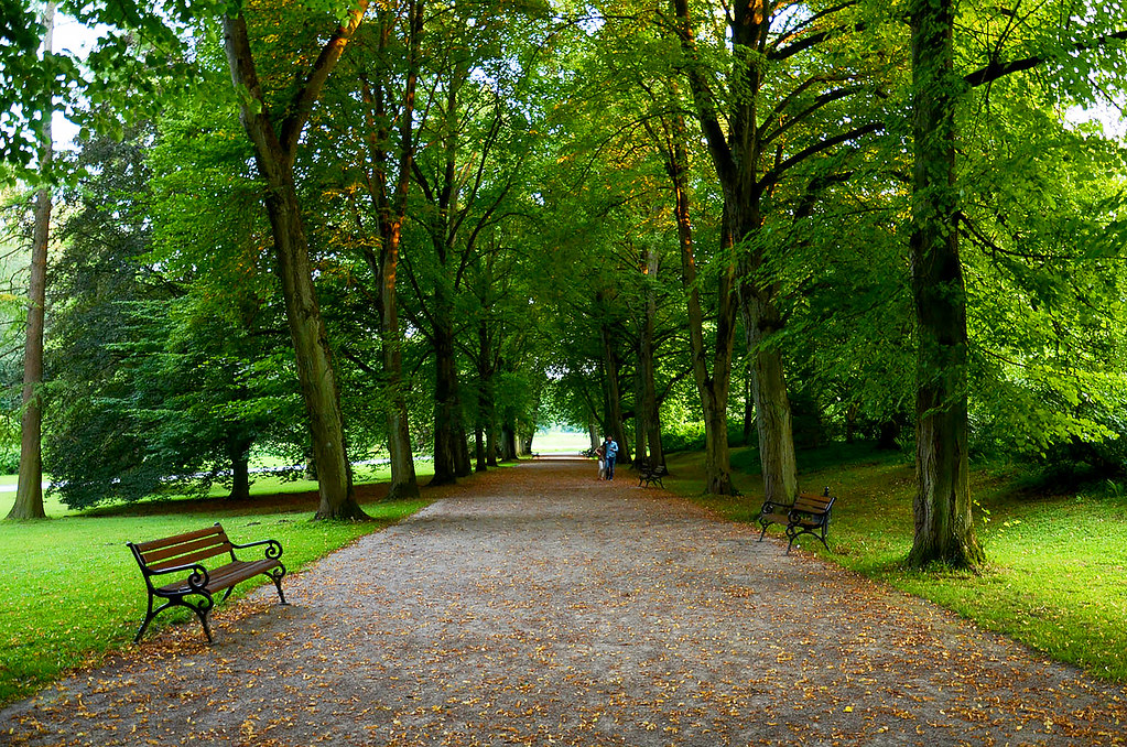 https://mdw-travel-data-us-east-1.s3.amazonaws.com/img/country/Germany/Botanischer-Garten-Rombergpark/img_01.jpg
