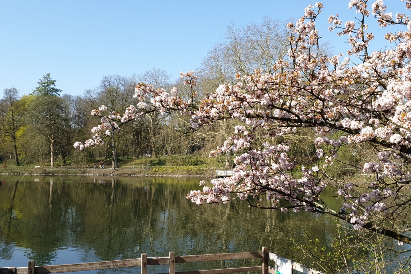 https://mdw-travel-data-us-east-1.s3.amazonaws.com/img/country/Germany/Botanischer-Garten-Rombergpark/img_03.jpg