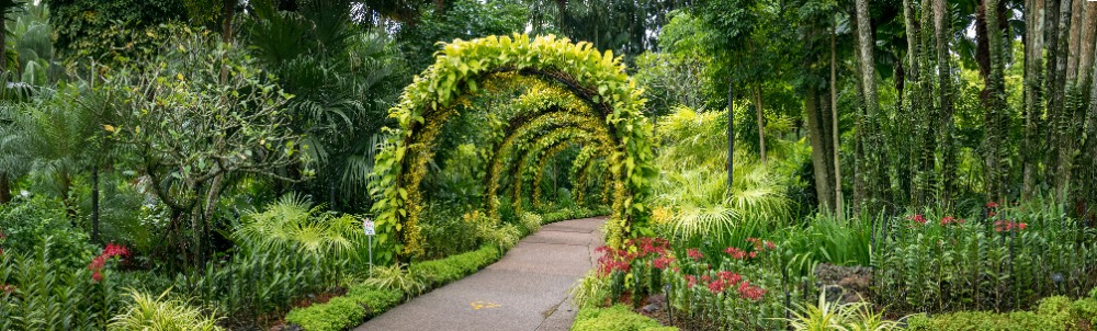 https://mdw-travel-data-us-east-1.s3.amazonaws.com/img/country/Germany/Botanischer-Garten/img_03.jpg