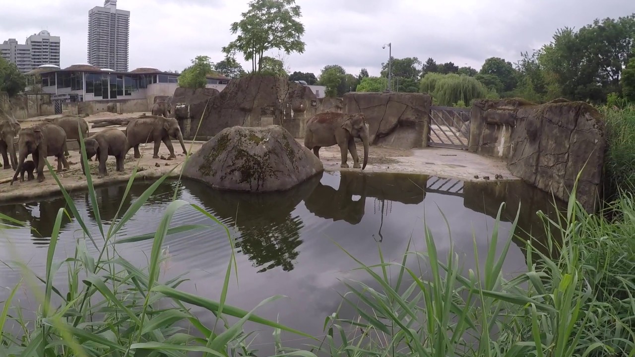 https://mdw-travel-data-us-east-1.s3.amazonaws.com/img/country/Germany/Cologne-Zoo/img_01.jpg