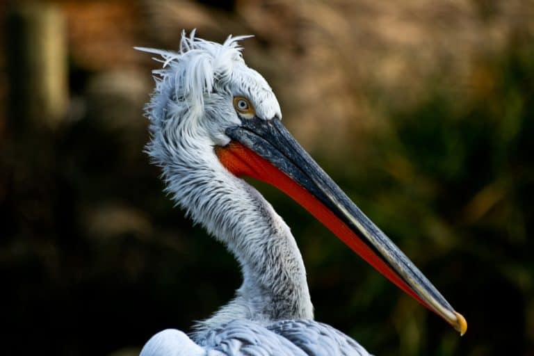 https://mdw-travel-data-us-east-1.s3.amazonaws.com/img/country/Germany/Dortmund-Zoo/img_02.jpg