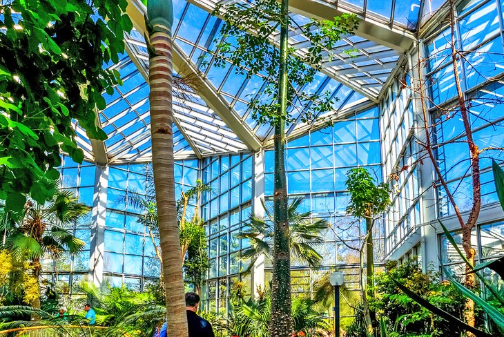 https://mdw-travel-data-us-east-1.s3.amazonaws.com/img/country/Germany/Frankfurt-Palm-House/img_01.jpg