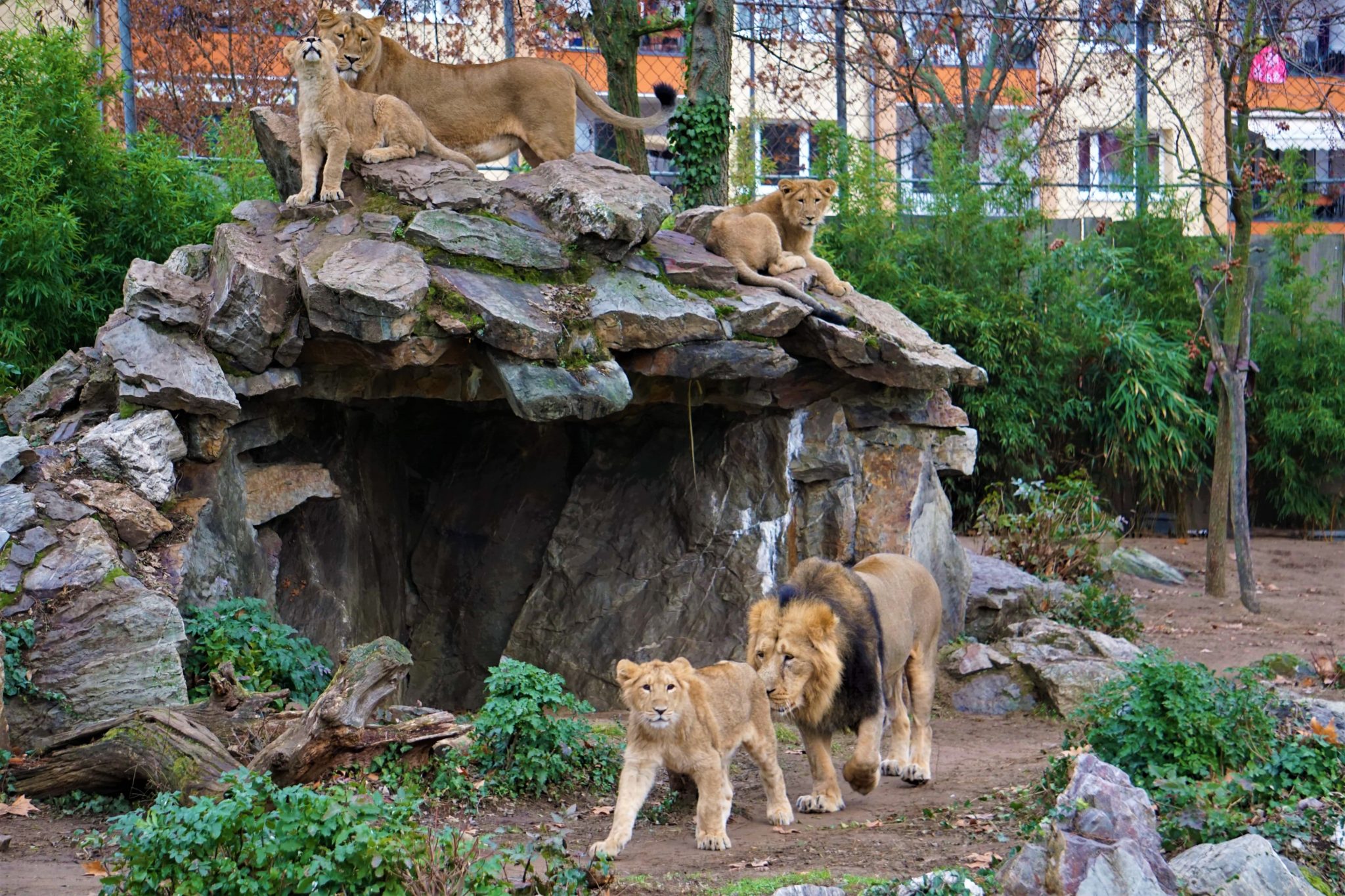 https://mdw-travel-data-us-east-1.s3.amazonaws.com/img/country/Germany/Frankfurt-Zoo/img_01.jpg
