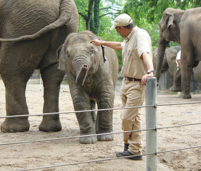 https://mdw-travel-data-us-east-1.s3.amazonaws.com/img/country/Germany/Hagenbeck-Zoo/img_01.jpg