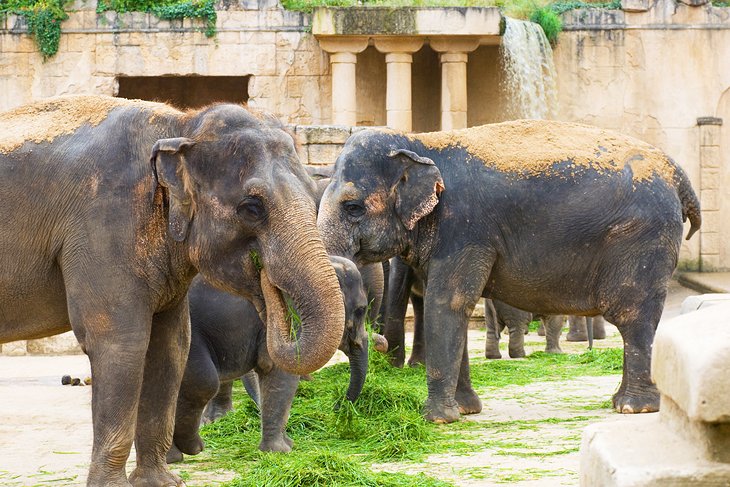 https://mdw-travel-data-us-east-1.s3.amazonaws.com/img/country/Germany/Hanover-Zoo/img_01.jpg