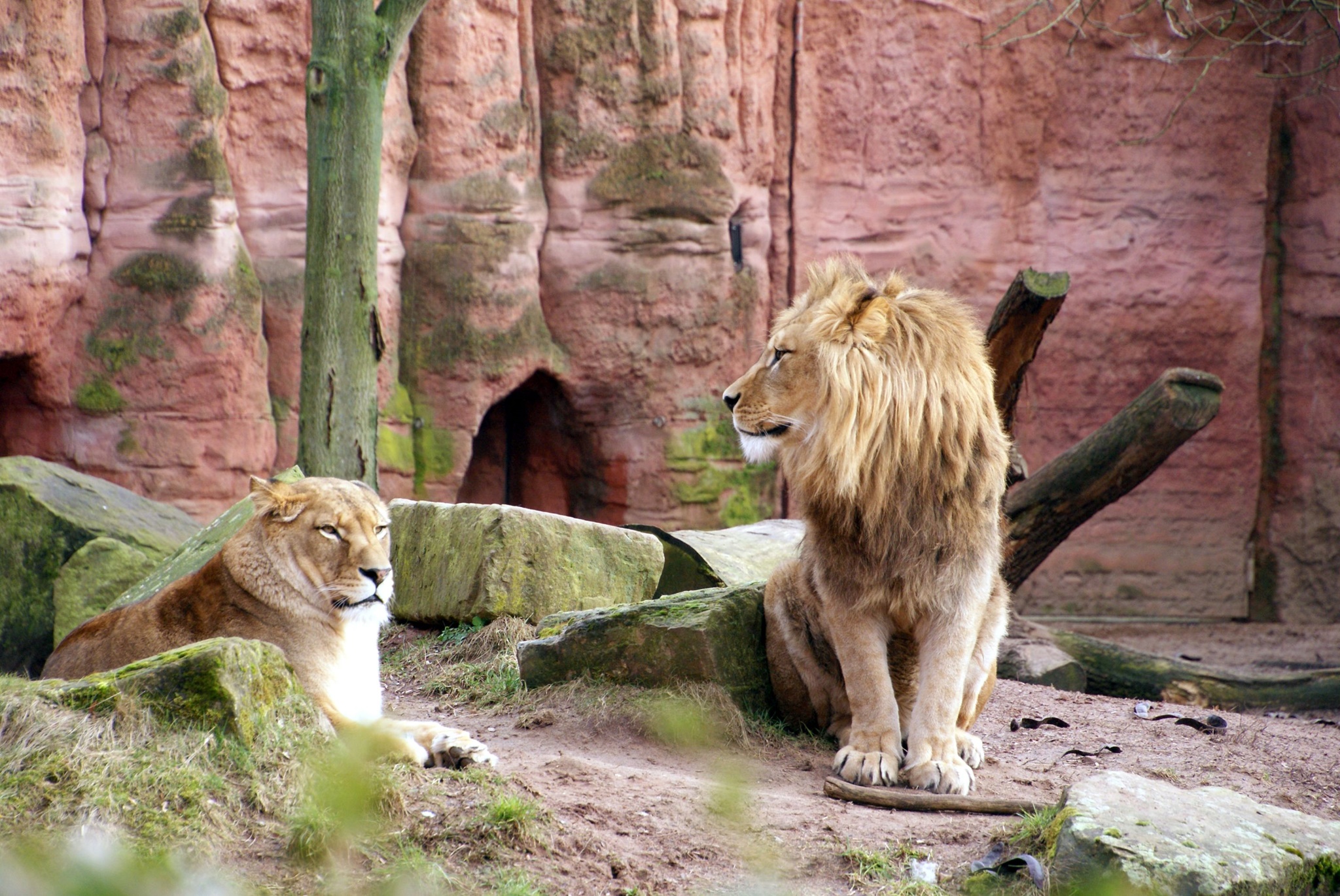 https://mdw-travel-data-us-east-1.s3.amazonaws.com/img/country/Germany/Hanover-Zoo/img_02.jpg
