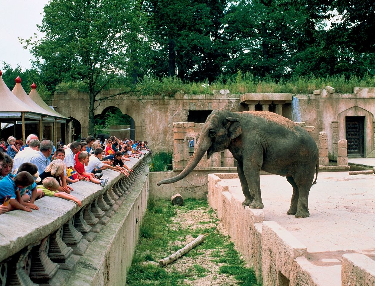 https://mdw-travel-data-us-east-1.s3.amazonaws.com/img/country/Germany/Hanover-Zoo/img_03.jpg