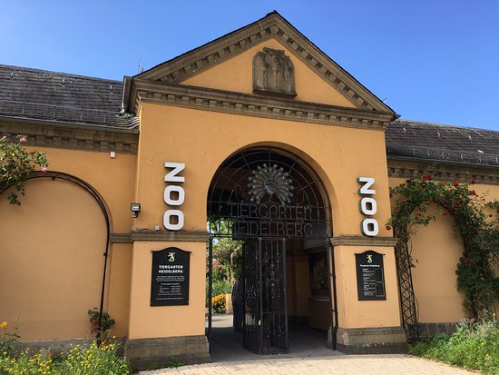 https://mdw-travel-data-us-east-1.s3.amazonaws.com/img/country/Germany/Heidelberg-Zoo/img_03.jpg