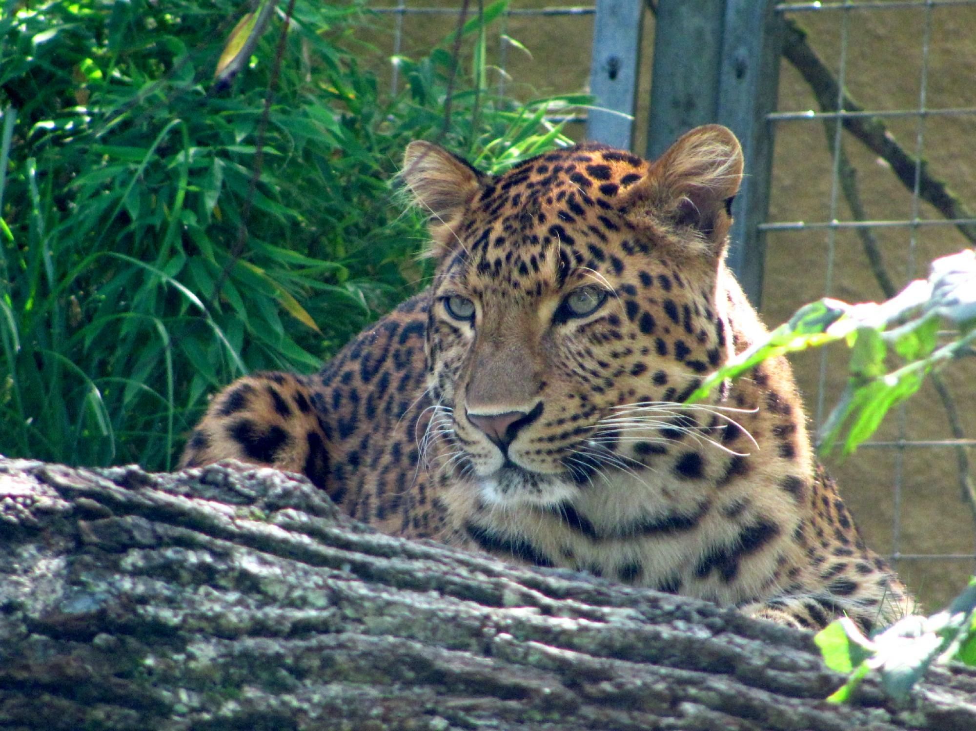 https://mdw-travel-data-us-east-1.s3.amazonaws.com/img/country/Germany/Hellabrunn-Zoo/img_03.jpg