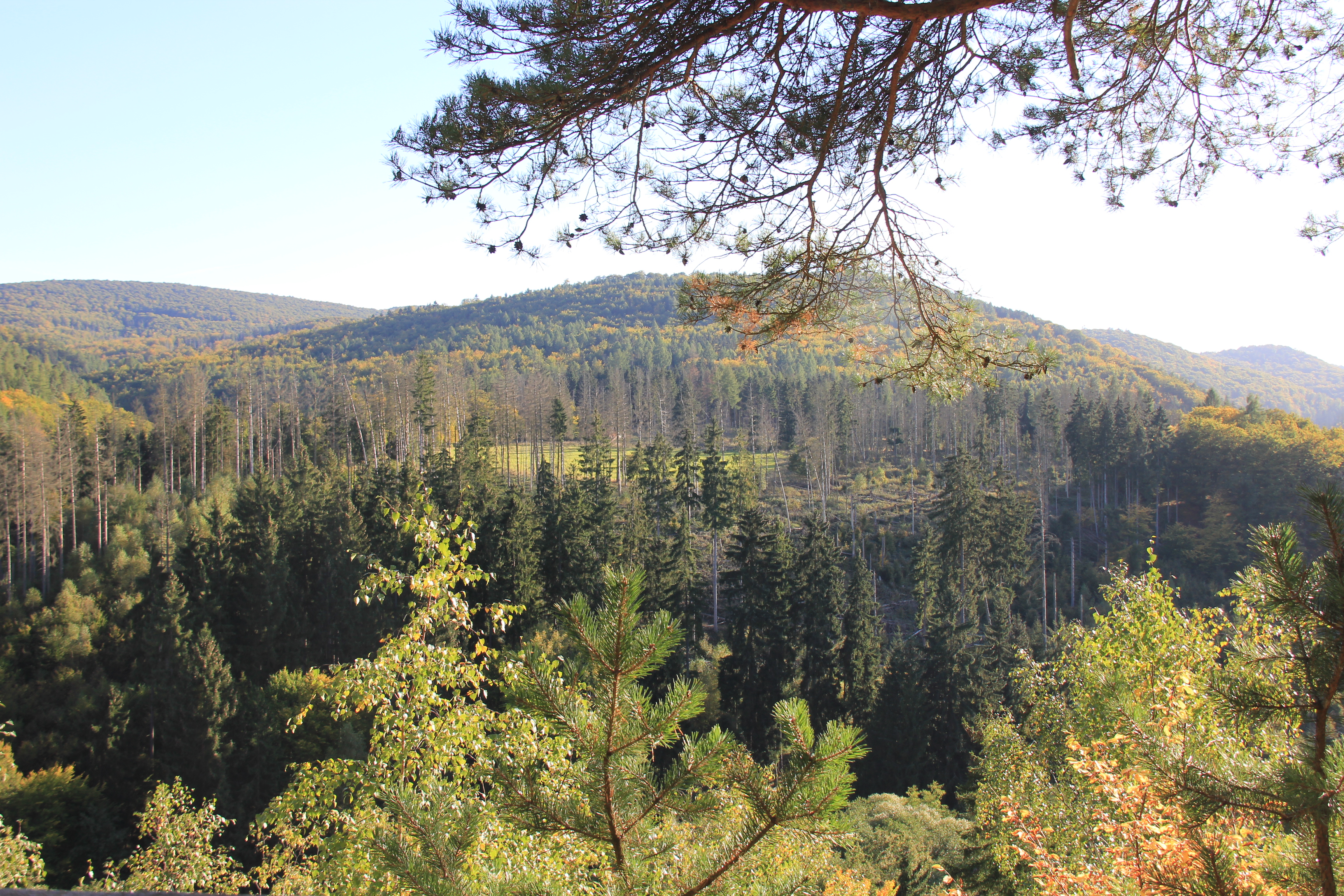https://mdw-travel-data-us-east-1.s3.amazonaws.com/img/country/Germany/Kellerwald-Edersee-National-Park/img_03.jpg