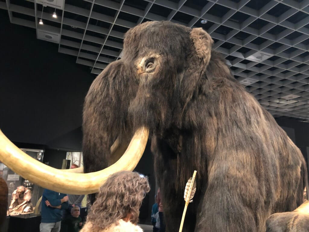 https://mdw-travel-data-us-east-1.s3.amazonaws.com/img/country/Germany/LWL-Museum-fur-Naturkunde/img_01.jpg