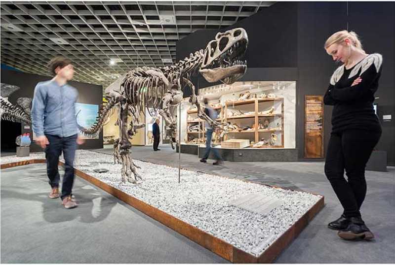 https://mdw-travel-data-us-east-1.s3.amazonaws.com/img/country/Germany/LWL-Museum-fur-Naturkunde/img_03.jpg