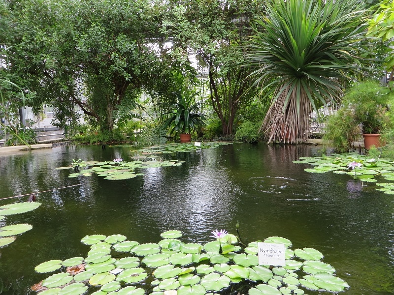 https://mdw-travel-data-us-east-1.s3.amazonaws.com/img/country/Germany/Leipzig-Botanical-Garden/img_00.jpg