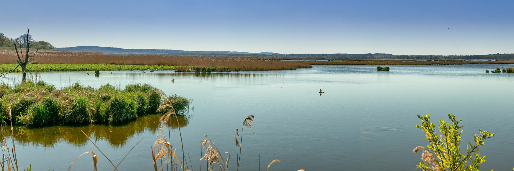https://mdw-travel-data-us-east-1.s3.amazonaws.com/img/country/Germany/Muritz-National-Park/img_02.jpg