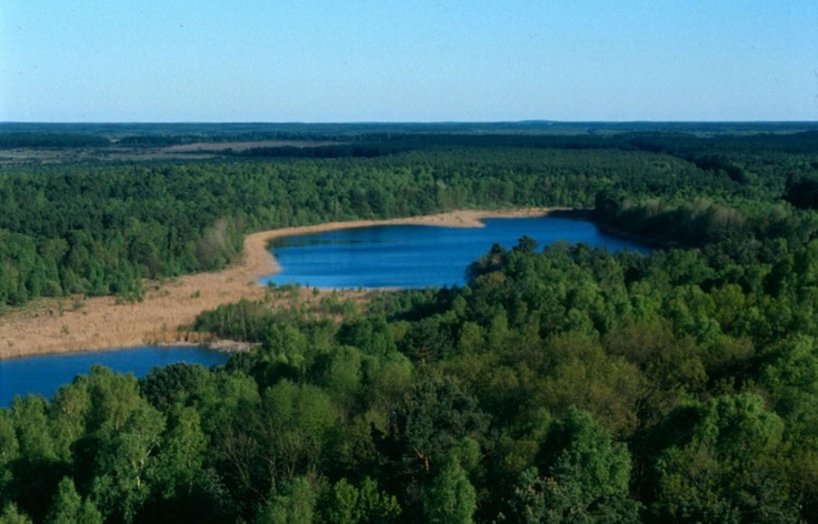 https://mdw-travel-data-us-east-1.s3.amazonaws.com/img/country/Germany/Muritz-National-Park/img_04.jpg