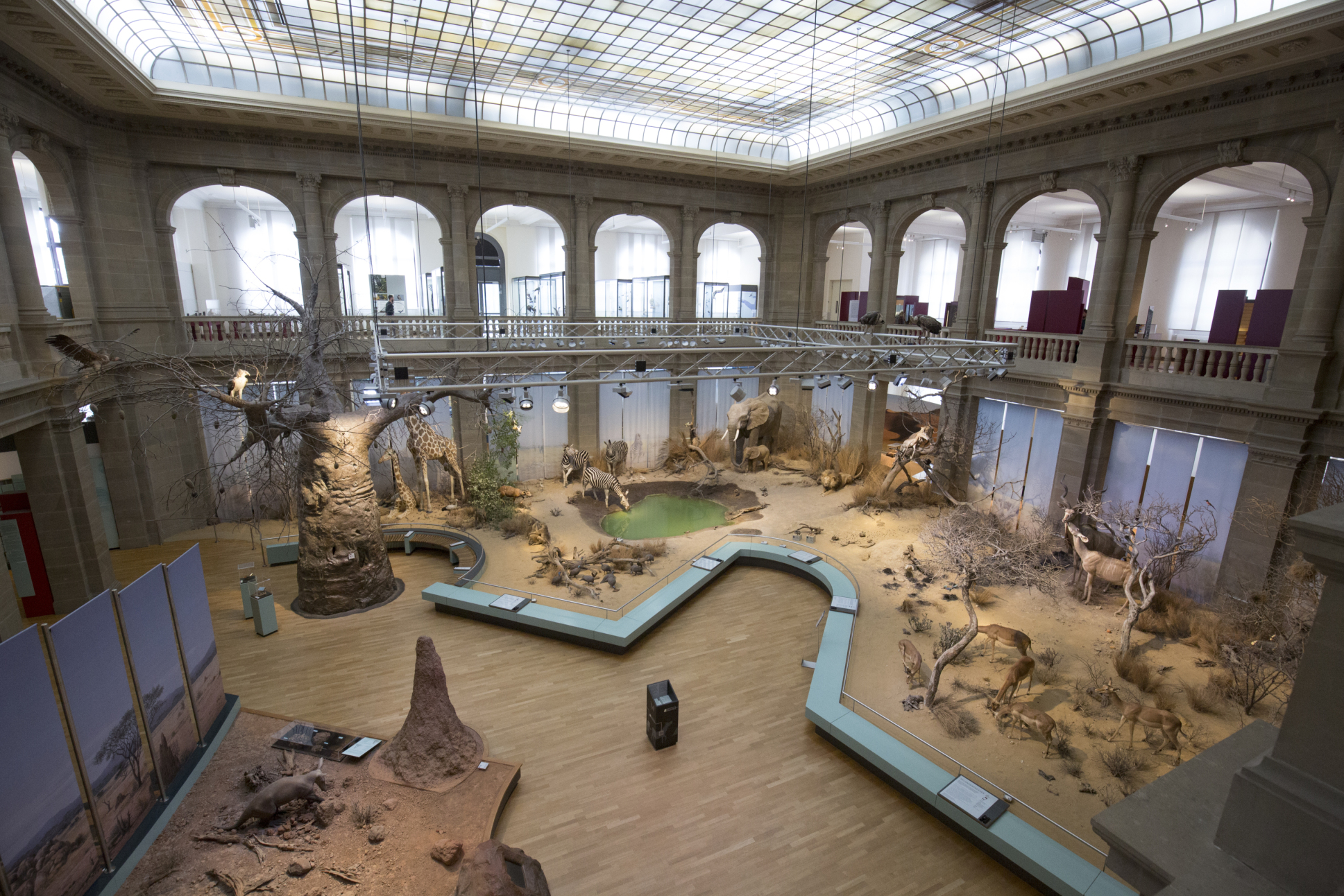 https://mdw-travel-data-us-east-1.s3.amazonaws.com/img/country/Germany/Museum-Koenig/img_01.jpg