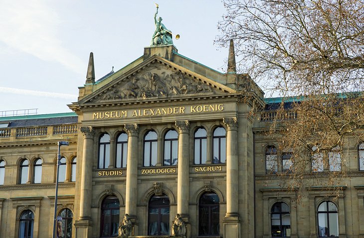 https://mdw-travel-data-us-east-1.s3.amazonaws.com/img/country/Germany/Museum-Koenig/img_02.jpg