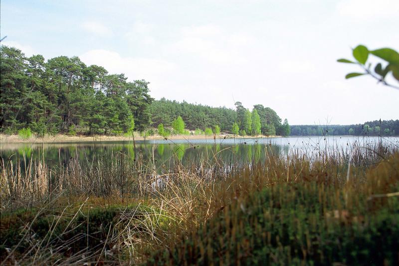 https://mdw-travel-data-us-east-1.s3.amazonaws.com/img/country/Germany/Naturpark-Dahme-Heideseen/img_01.jpg