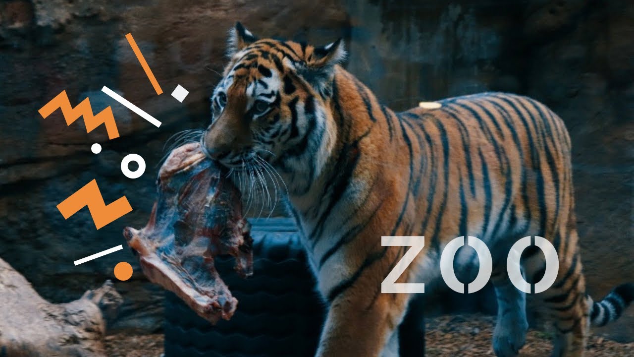 https://mdw-travel-data-us-east-1.s3.amazonaws.com/img/country/Germany/Nuremberg-Zoo/img_01.jpg