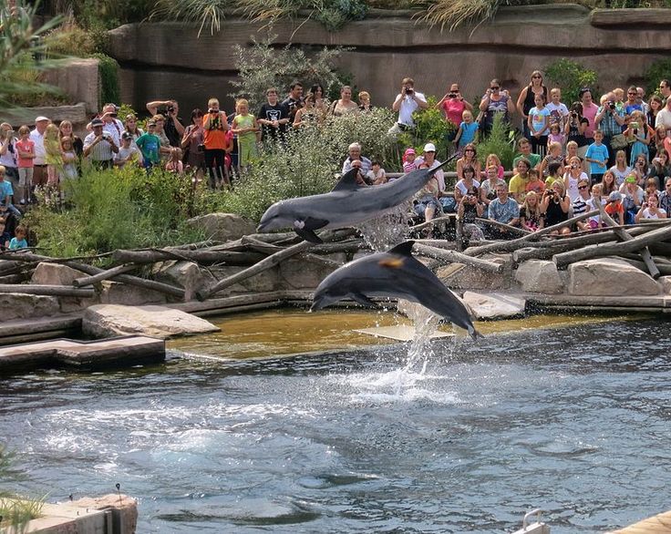 https://mdw-travel-data-us-east-1.s3.amazonaws.com/img/country/Germany/Nuremberg-Zoo/img_02.jpg