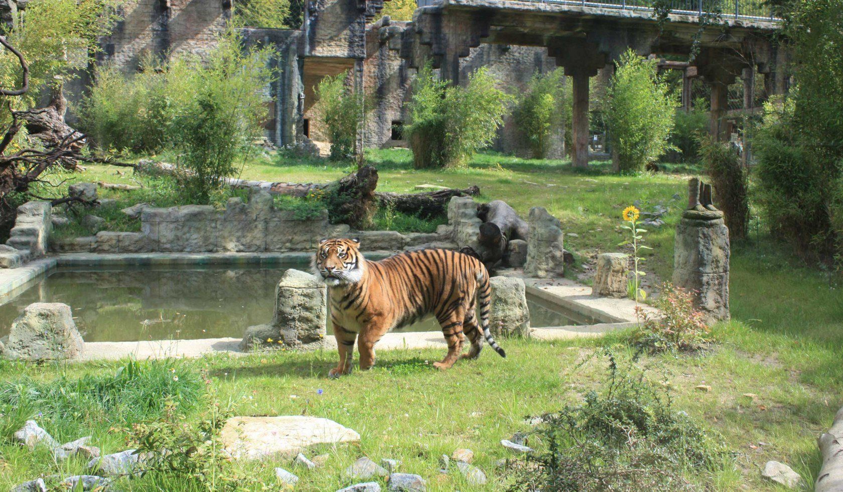 https://mdw-travel-data-us-east-1.s3.amazonaws.com/img/country/Germany/Osnabruck-Zoo/img_01.jpg