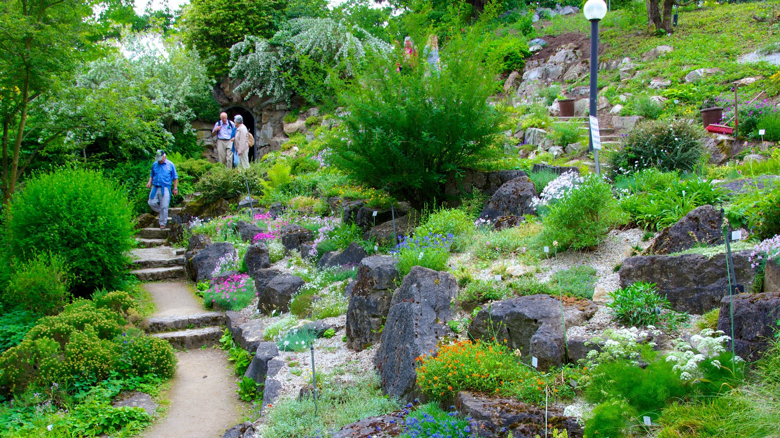 https://mdw-travel-data-us-east-1.s3.amazonaws.com/img/country/Germany/Palmengarten/img_02.jpg