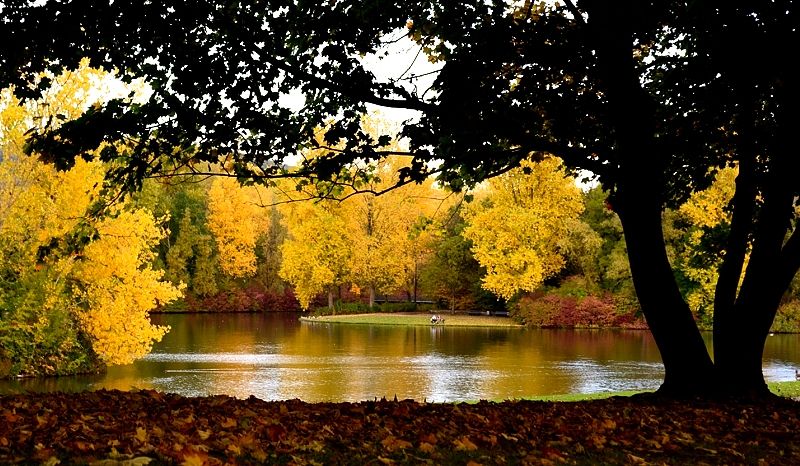 https://mdw-travel-data-us-east-1.s3.amazonaws.com/img/country/Germany/Rheinaue-Park/img_02.jpg