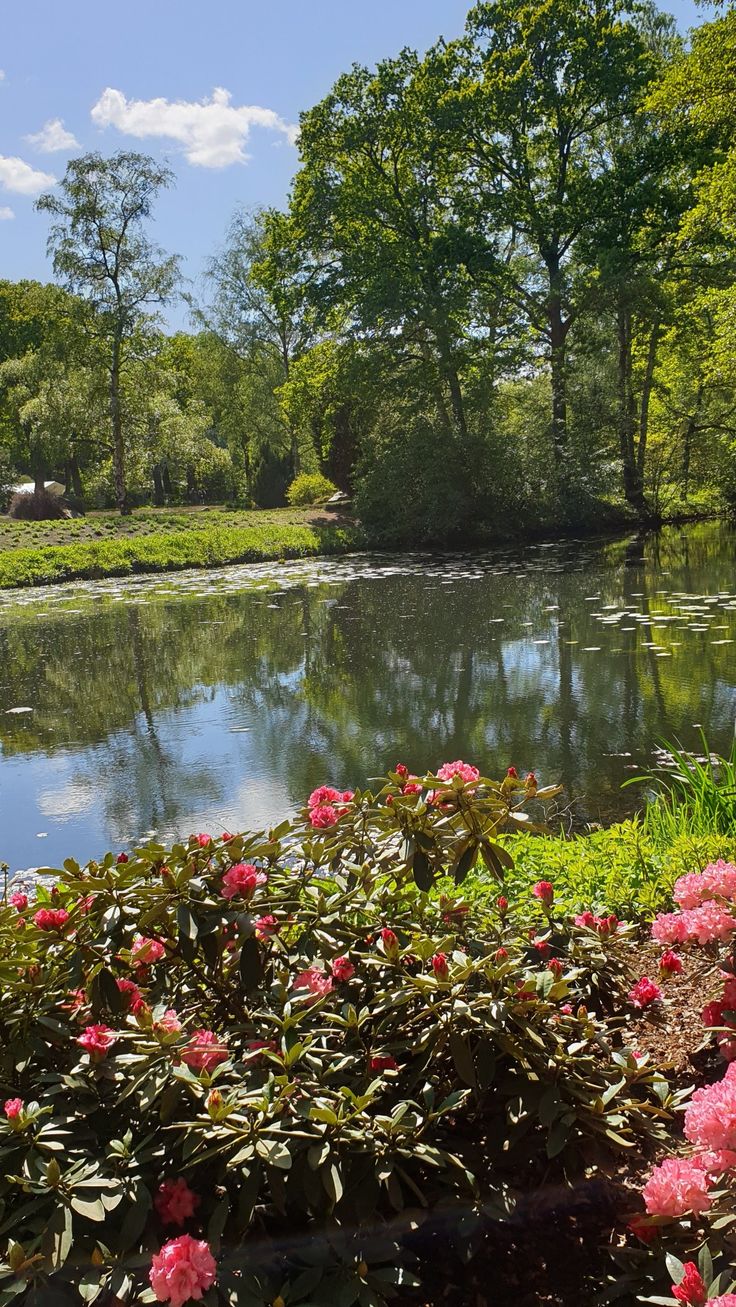 https://mdw-travel-data-us-east-1.s3.amazonaws.com/img/country/Germany/Rhododendron-Park-Bremen/img_01.jpg