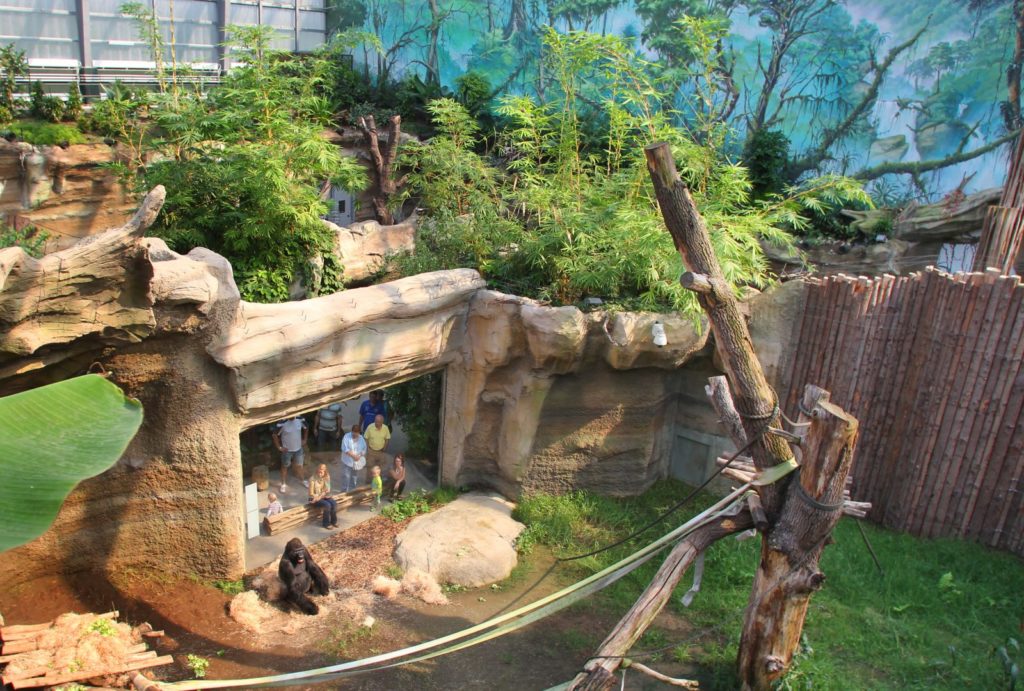 https://mdw-travel-data-us-east-1.s3.amazonaws.com/img/country/Germany/Rostock-Zoo/img_03.jpg