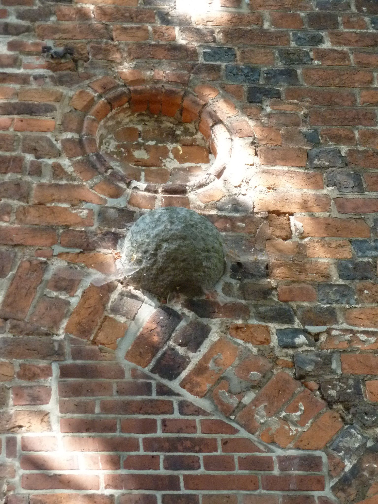 https://mdw-travel-data-us-east-1.s3.amazonaws.com/img/country/Germany/Schloss-Domitz/img_01.jpg
