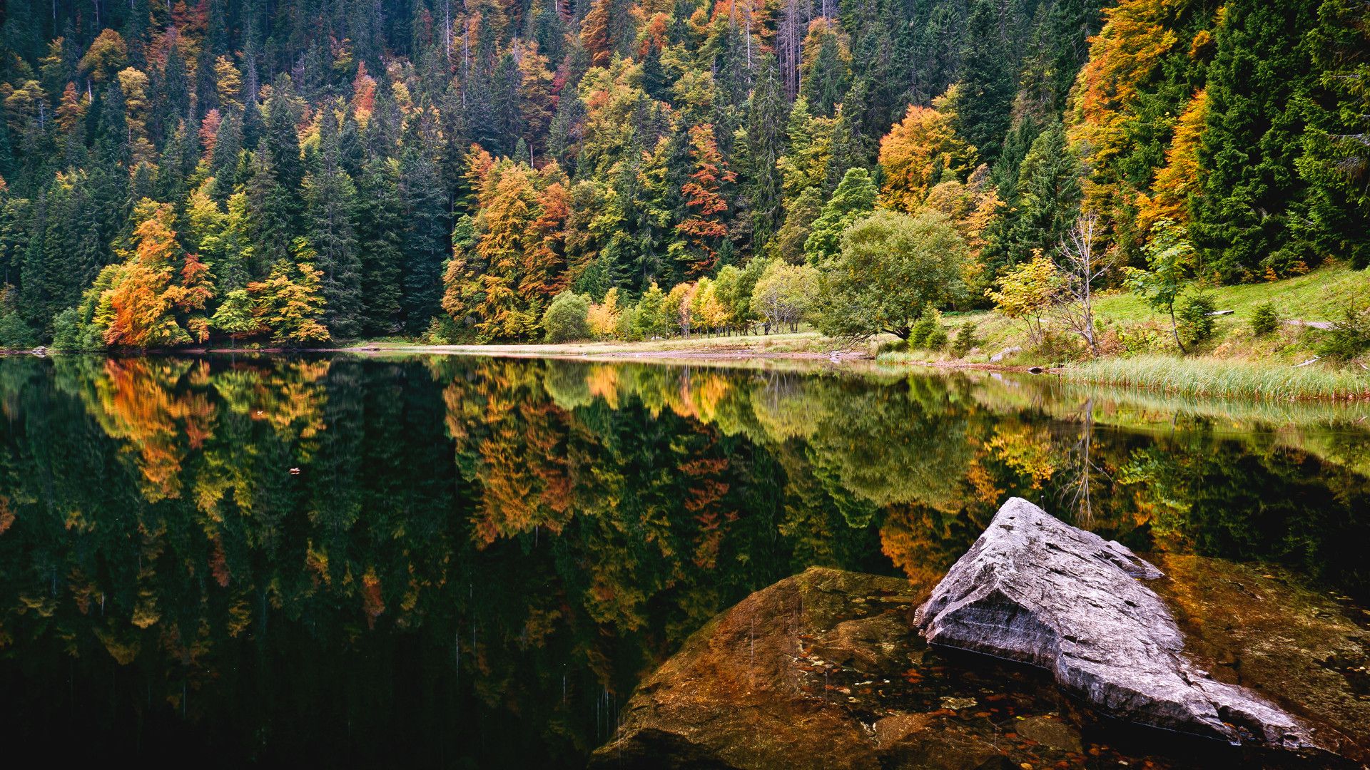 https://mdw-travel-data-us-east-1.s3.amazonaws.com/img/country/Germany/Schwarzwald-Black-Forest/img_00.jpg