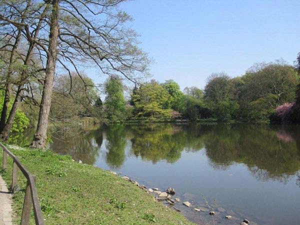 https://mdw-travel-data-us-east-1.s3.amazonaws.com/img/country/Germany/The-Botanische-Garten-Rombergpark/img_02.jpg